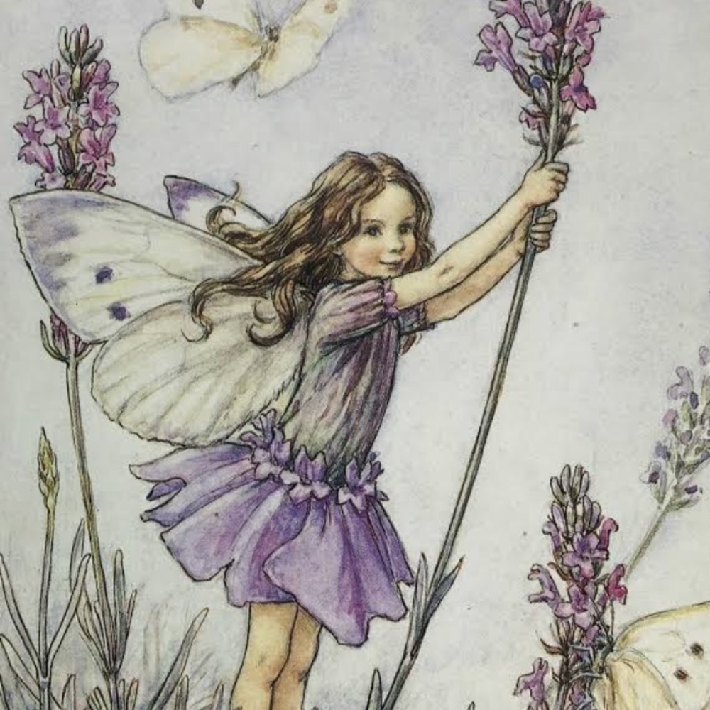 Meet your Posher, Quinn